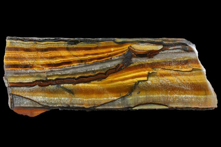 Polished Tiger's Eye Section - South Africa #128461